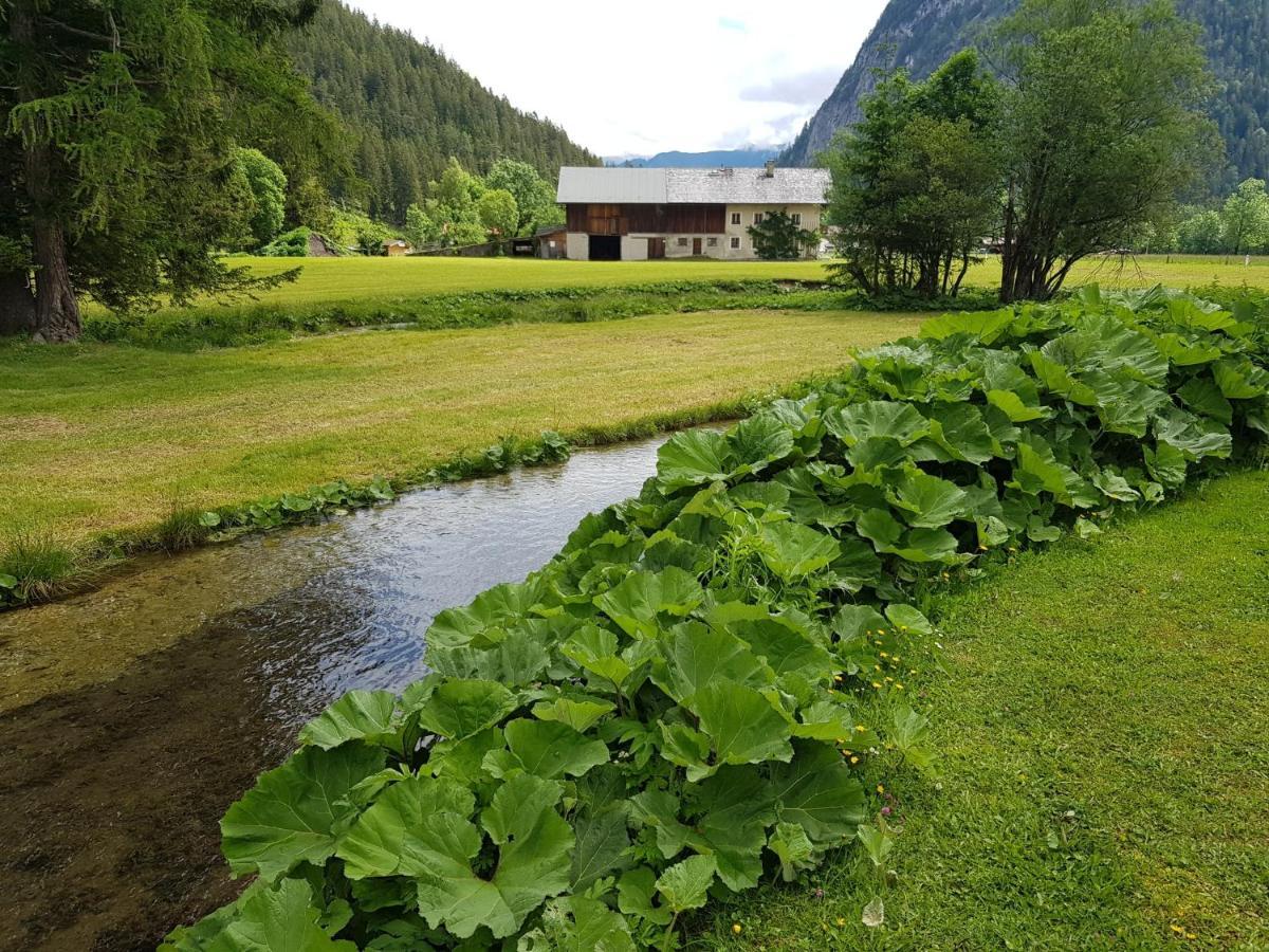 Alpenblick Apartment Leutasch