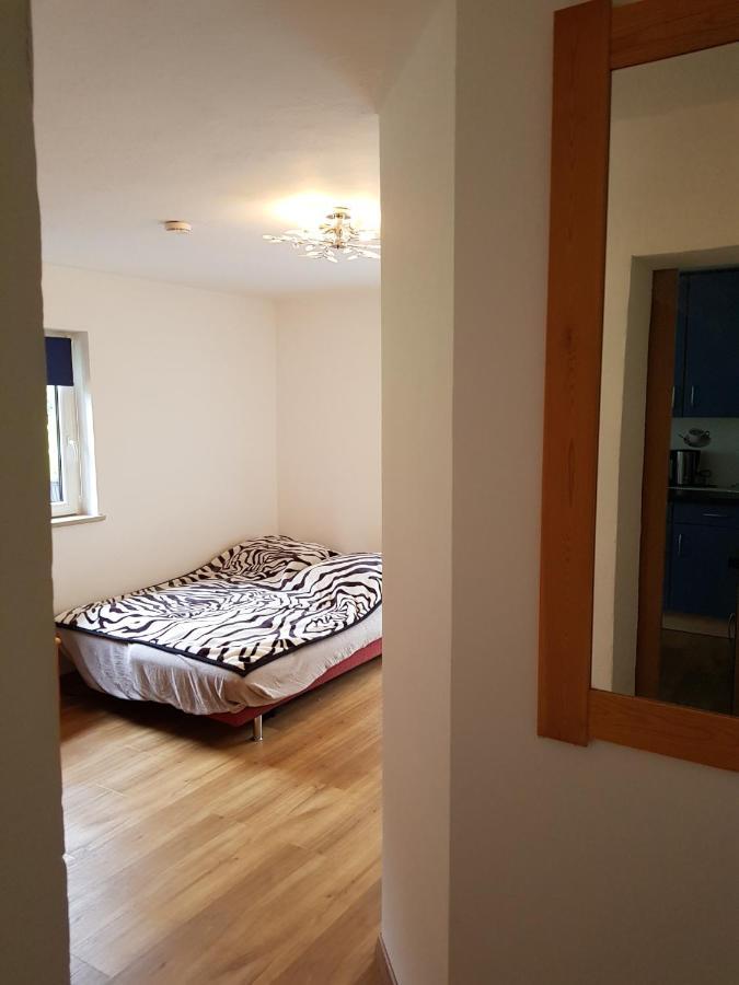 Alpenblick Apartment