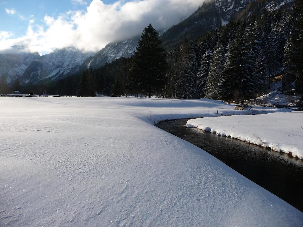 Apartment Alpenblick Leutasch